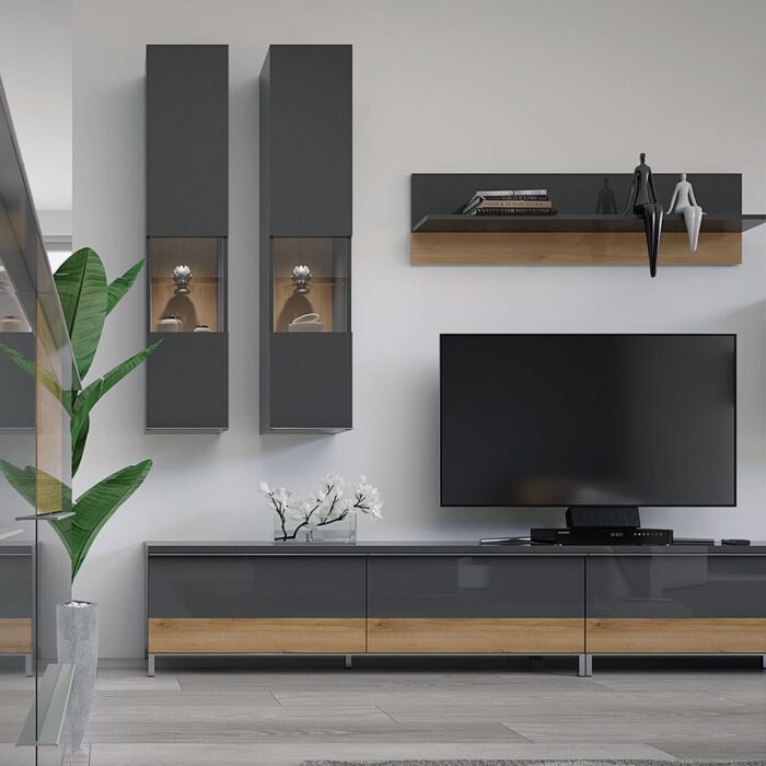 robna kuca stanojcic mmp TV STO TV150 2FON 5