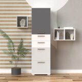 robna kuca stanojcic mmp VITRINA F5 7