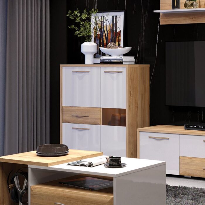 robna kuca stanojcic mmp VITRINA V96 3KS1FGL 5