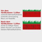 scheppach motorni prozracivac travnjaka sc55p43637.jpg
