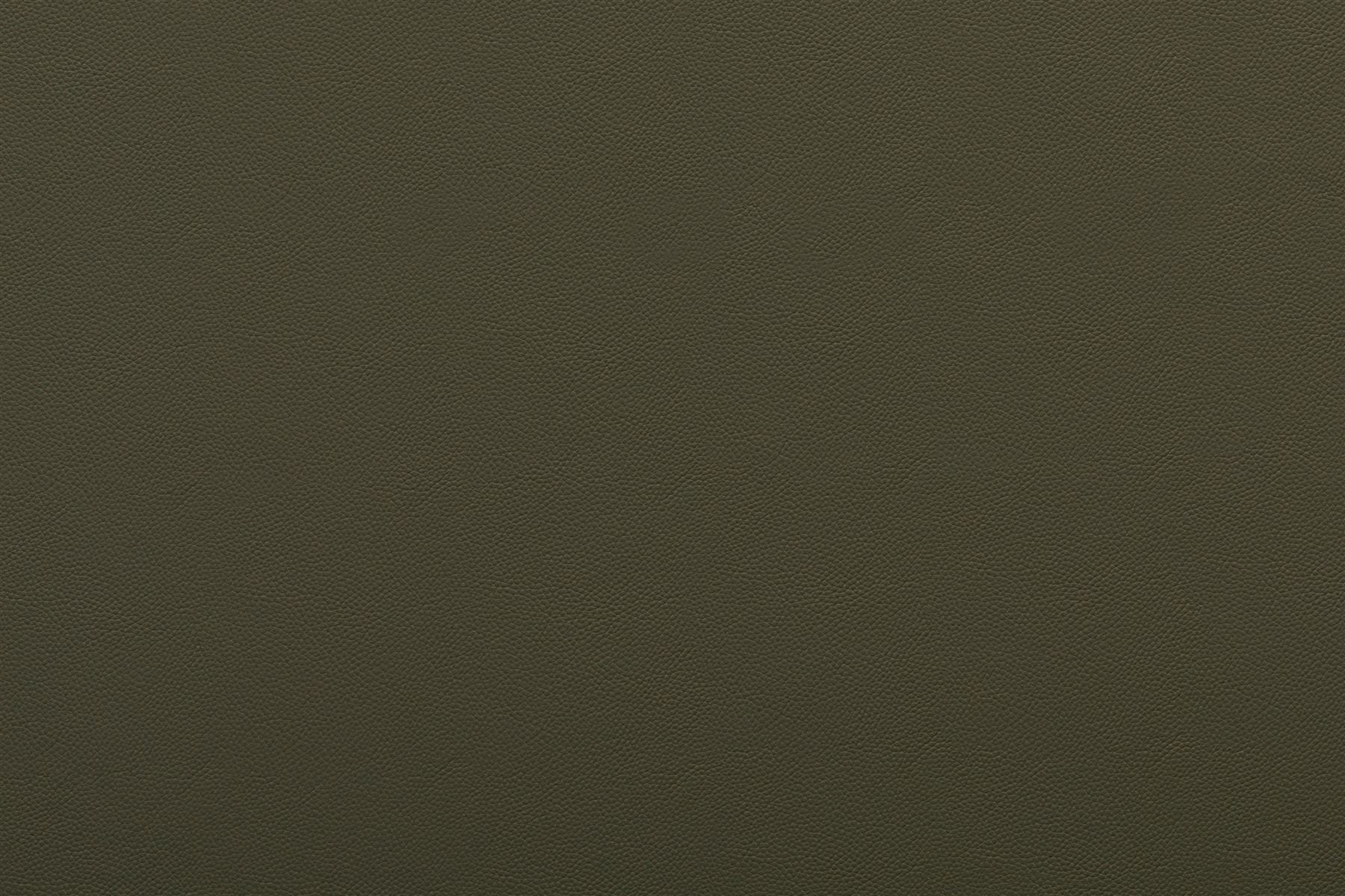 Titan 9031