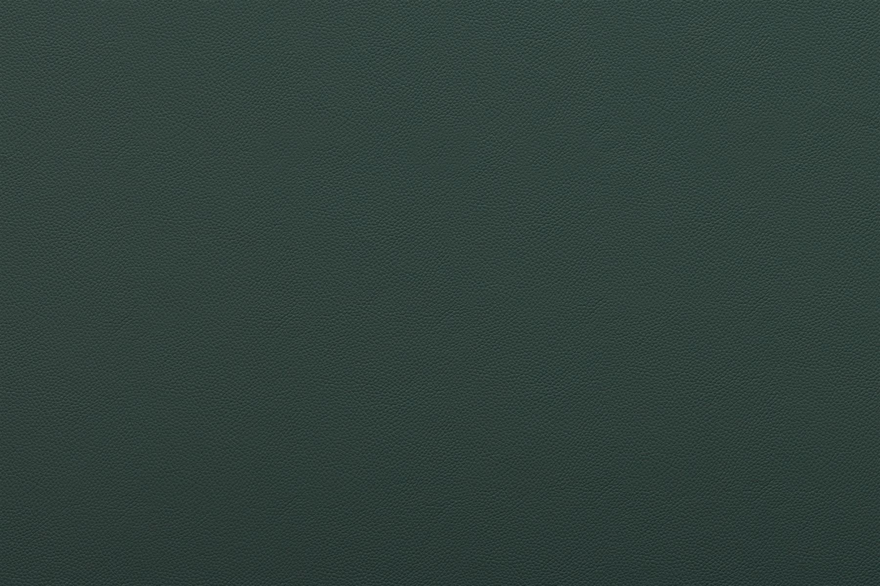 Titan 9491