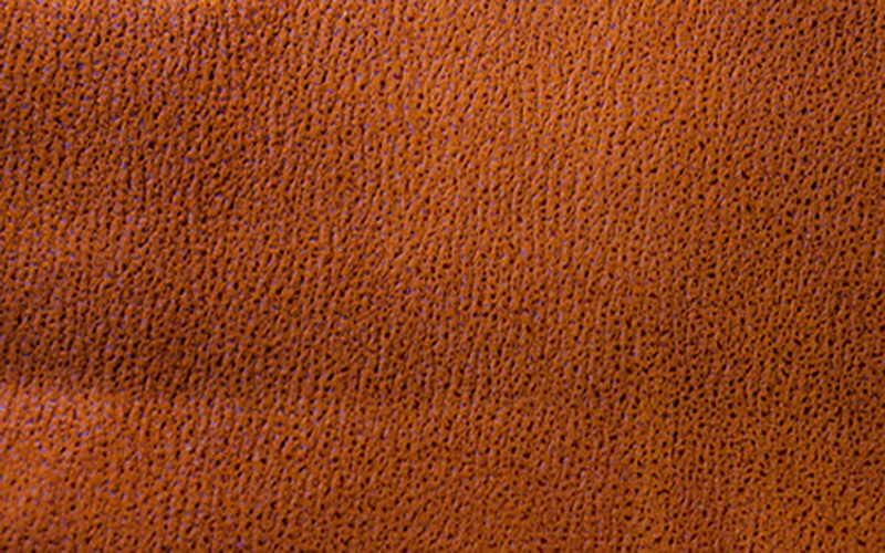 Massimo 11